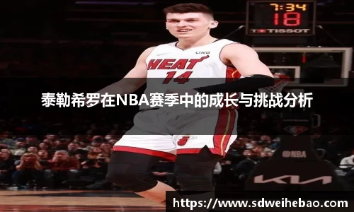 泰勒希罗在NBA赛季中的成长与挑战分析